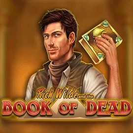 Slots logo of Book of Dead from Play'n GO at Vegashero Casino